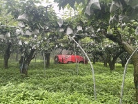 강진군, 농림·산림지 공동방제기간 운영