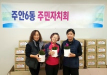 인천시 미추홀구 주안6동 주민자치회, 어르신 대상으로 반려식물, 콩나물 기르기 꾸러미 배부