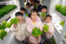 동대문구 스마트팜서 작물 수확 하는 아이들