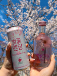 GS25 X 여수밤바다F&B, 벚꽃엔딩 맥주와 벚꽃주 출시