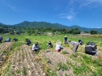 합천군 가야면, 농촌일손돕기 추진