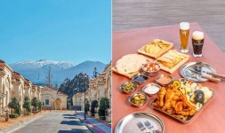 ‘우진 해장국 vs 캠퍼트리 6TO12···여행 인플루언서 추천 제주 맛집 핫플은?