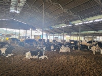 경남도 동물위생시험소, 연일 폭염에 축산농가 가축질병 주의보