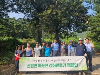 인천시 강화군 선원면 농촌지도자회, 선행천 상류 생태계 교란 식물 집중 제거