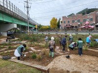 시흥시 신현동 마을정원봉사단, 꽃향기 가득한 정원 조성 봉사 힘써