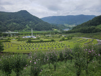 올해 무궁화 최우수 명소에 거창사건추모공원