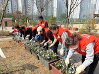 배곧라온초등학교, 봄맞이 “등굣길을 꽃길로” 꽃모종 심기 행사