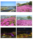 두 가지 매력’ 시흥시 은계호수공원의 ‘낮과 밤