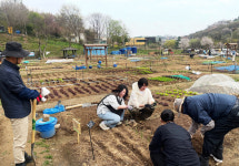 관악구, 청년 마음 위로 친환경 텃밭 운영