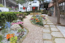 서대문구, 보건소 별관에 ‘정원형 공간’ 조성