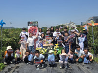 안성 산평초 학생들, 소담산딸기서 농장 체험