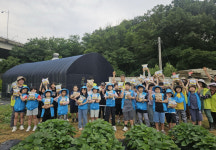 시흥시 신현동, 포리초와 함께 감자 수확 체험행사 성료