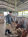 강진군, 한우 번식관리시스템 시범 보급