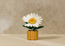 ‘완판 신드롬’ 지드래곤, 국내 팬들 위해 ‘818 BLOOM’ 아이파크몰 스토어 오픈