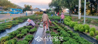 공동체의 정·이야기가 있는 영암 브랜드마을이 온다