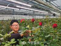 강진군 장미농장 스마트 LED로 이상기상 대응