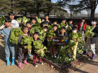 합천군 쌍백초등학교, 김장 나눔으로 지역 사랑 실천