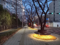 인천시 남동구, 구월남로 벚꽃길 새 단장 사업 완료