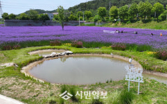 걷고 싶고, 찾고 싶은 광산, 시민 일상으로 확장