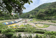 광주광역시 동구, 유휴 화분 재활용 ‘반려식물 클리닉’ 첫 운영