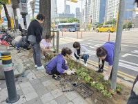 인천시 미추홀구 도화1동 통장자율회, 도화초 앞 여름꽃 300본 식재