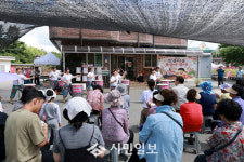 영암군 안풍마을 첫 봉숭아 축제, 세대 잇는 여름 추억 선물