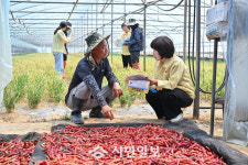 전남광주통합특별시 서구, 폭염 대응 농업지역 예찰 강화