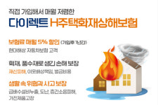 [겨울철 필요한 보험]현대해상 ‘다이렉트 H주택화재상해보험’