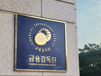 금융감독원, 보험 판매질서·건전성 감독 강화