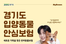 1년간 보험료 無 마이브라운, 경기도 입양동물 안심보험 지원