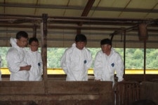 재래돼지 사육농가와 공동연구 협의