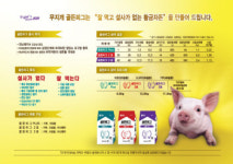 대한제당(주) “골든피그” 시리즈 신제품 출시