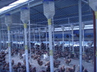 커버스토리 _ 현대종합축산기계 홍도영 대표