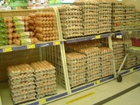 기획특집 / 역사와 세대를 뛰어넘는 패러다임 제시하길