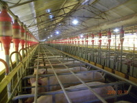 집중점검 / 검역시행장 지정, 안하나 못하나