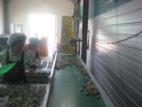 정원메추리농장, 국내 최초 축산물HACCP 지정