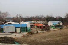 벤치마킹 / 고품질 돈육 생산하는 대진농장
