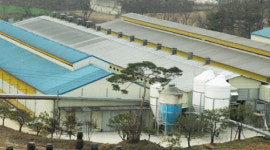 농장탐방 _ 아름다운 농장 ‘두메팜스’