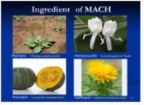 업체탐방 / 자연친화적 제품 공급하는 엘캄코바이오