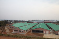 화제 / (주)봉동 하이포크 봉동농장