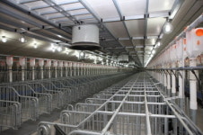 화제 / (주)봉동 하이포크 봉동농장