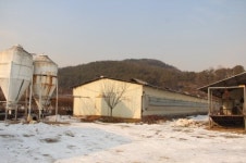 벤치마킹 / 덕봉농장
