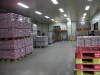 피플 / 농업회사법인 (주)이도팜 정하진 대표