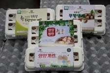 피플 / 농업회사법인 (주)이도팜 정하진 대표