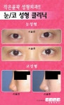 전형적인 동양인의 얼굴 서구적으로 바꿀 수 있다.