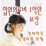 민영의료보험 2천만명 시대 ‘선택’아닌 ‘필수’