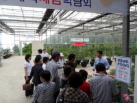 블루베리체험박람회, 밤줍기 체험농장 4일 오픈