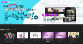 지상파에 의한, 지상파만을 위한 방송