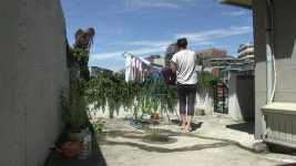 개의 역사, 곧 사라질 시간을 충실히...백구가 내 곁으로도 돌아왔다