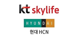 KT 콘텐츠법인 아래 스카이라이프 자회사 헤쳐모여?